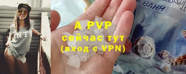 spice Аркадак