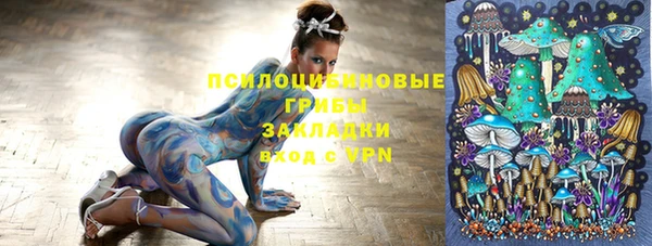 spice Аркадак
