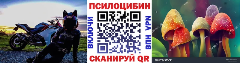 Псилоцибиновые грибы ЛСД Ишим