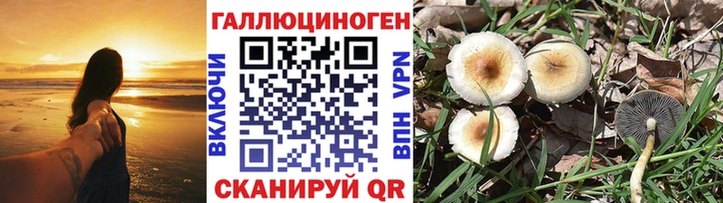 Галлюциногенные грибы прущие грибы  Ишим 